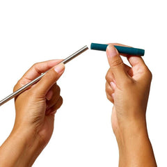 4-Piece Reusable Straw and Brush Set with Case