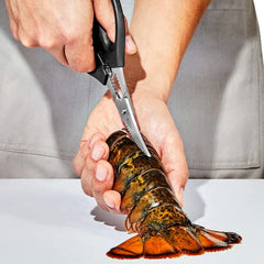 Seafood Scissors