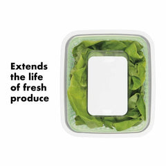 GreenSaver Produce Keeper (4.3 Qt)