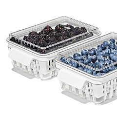 Produce Saver - Berry Keeper 2-Piece Set