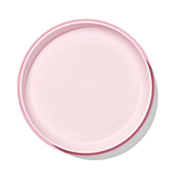 Stick & Stay Suction Plate